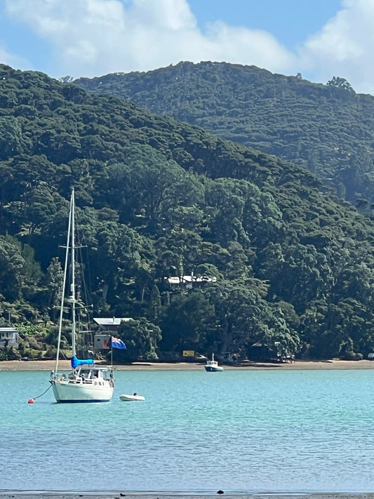 Our New Zealand Retreat