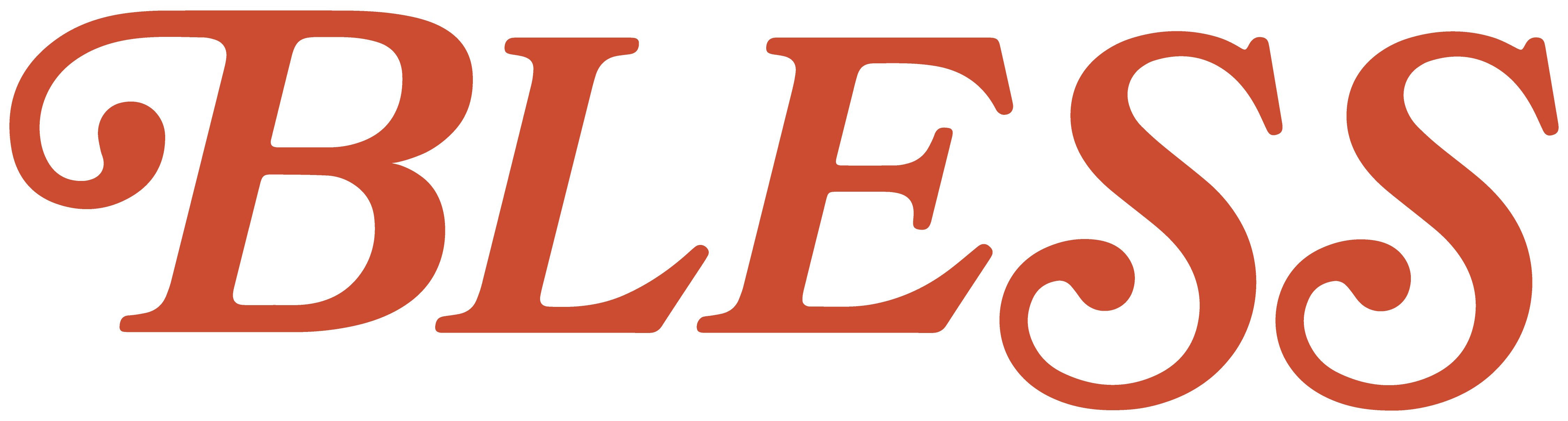 Bless Inc